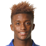 Demarai Gray